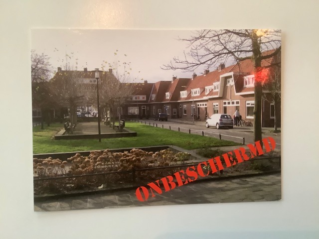 IMG 0128