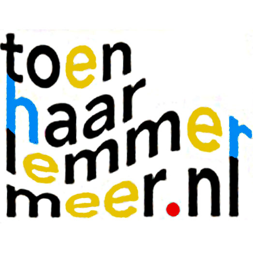 http://toenhaarlemmermeer.nl/