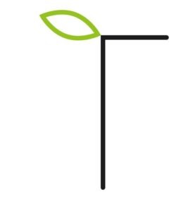Tuin van Haarlem