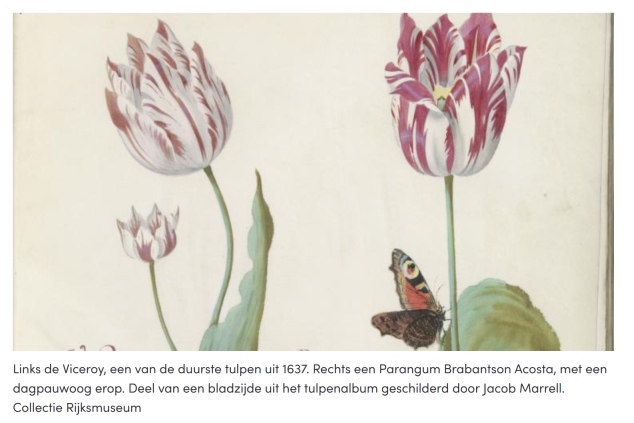 Tulpenkoorts_lezing